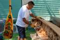 BVM_July212026-4